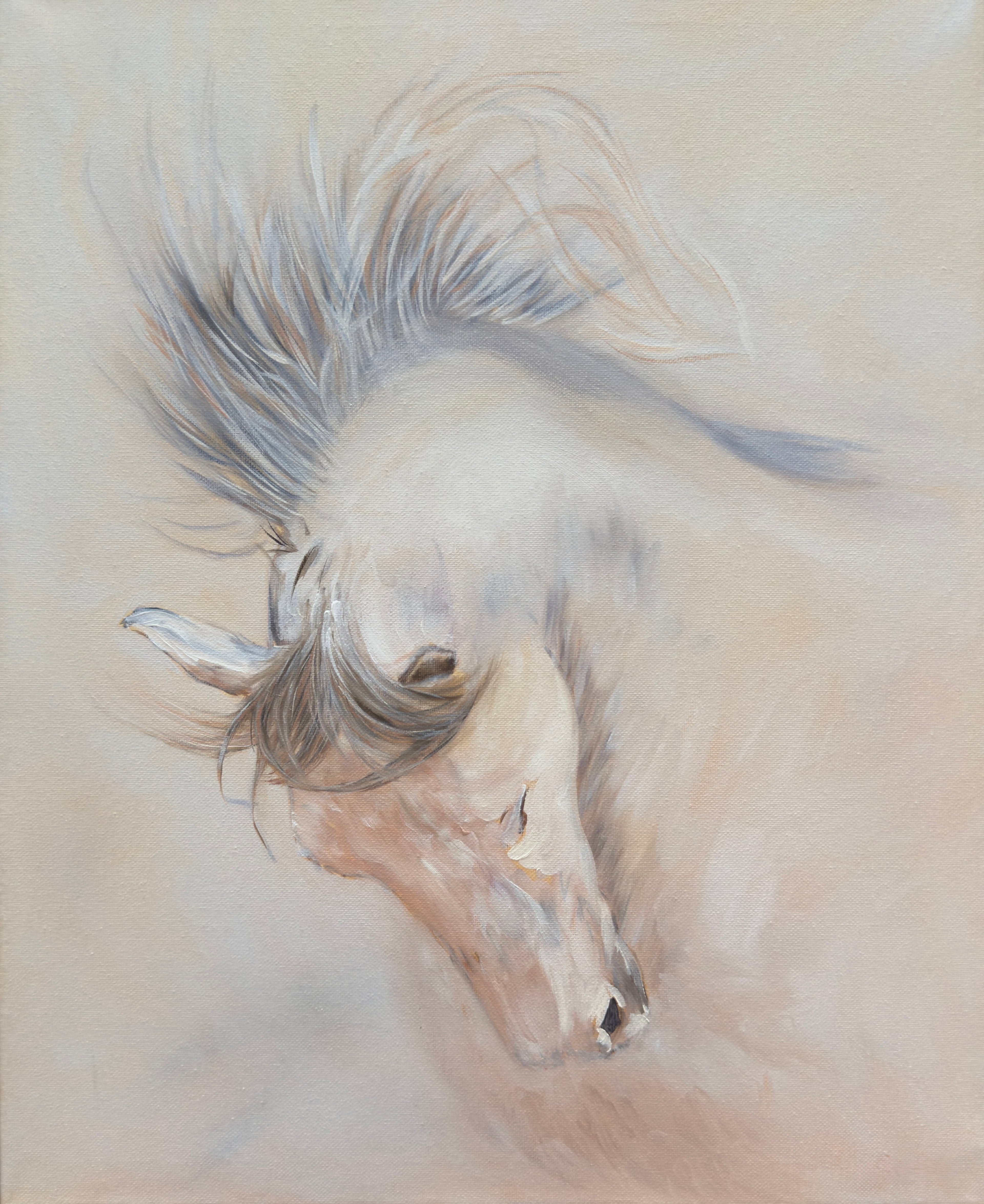 Year of the Horse  Fine Art Print