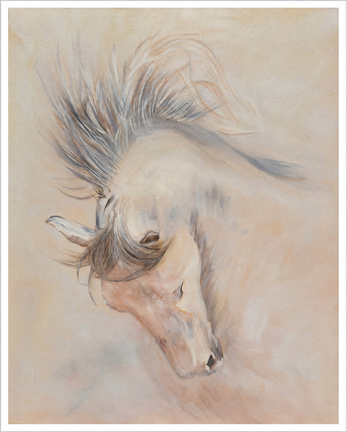"PANIOLO'S DREAM" Art Print
